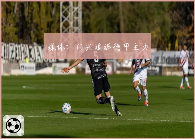 媒体:门兴追逐德甲主力