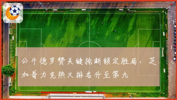 公牛德罗赞关键抢断锁定胜局，芝加哥力克热火排名升至第九