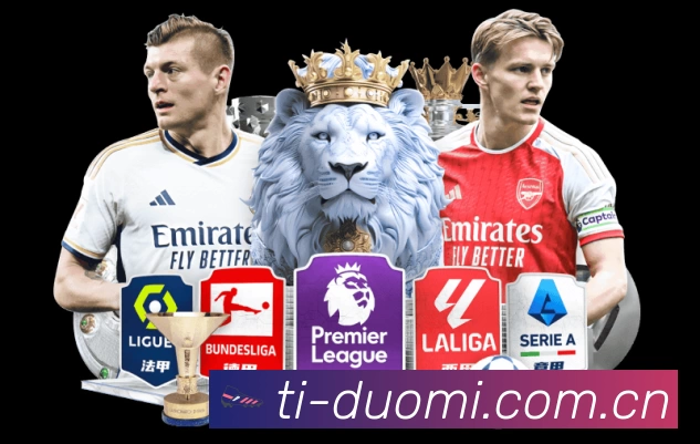 体育平台欢迎图